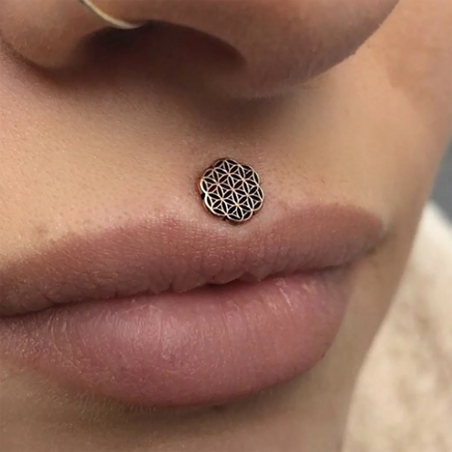 Labret Lip Line Lip, Labret & Philtrum