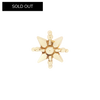 Desert Bloom
