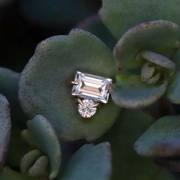 Tender | Diamonds