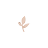 Rise