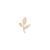 Rise